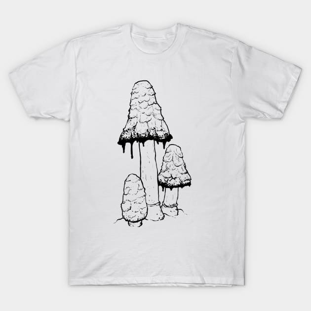 Ink Cap Mushrooms T-Shirt by mycologist